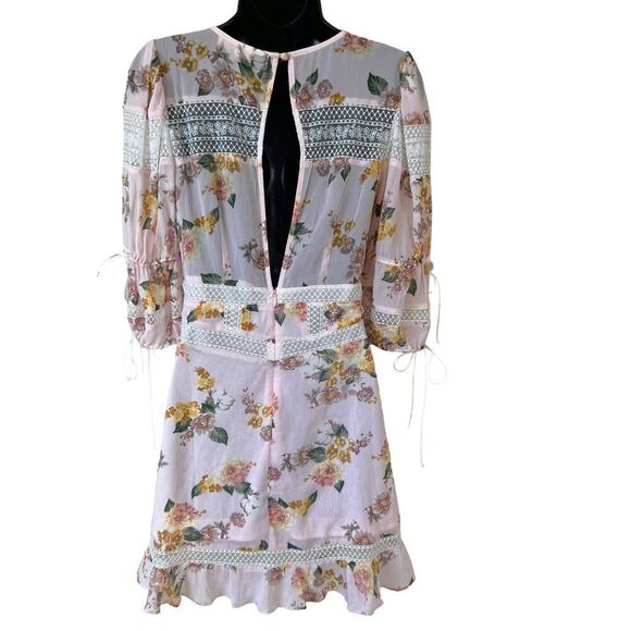 For Love & Lemons Isadora Mini Dress in Blush - Picture 14 of 16